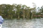 Winter Park. Touring the Butler Chain of Lakes. #12