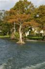 Winter Park. Touring the Butler Chain of Lakes. #19