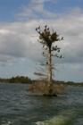 Winter Park. Touring the Butler Chain of Lakes. #20