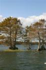 Winter Park. Touring the Butler Chain of Lakes. #21