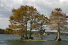Winter Park. Touring the Butler Chain of Lakes. #22