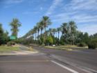 Another beautiful palm tree lined road in Scottsdale -- via de Ventura Road just between the Gainey Ranch and McCormick Ranch communities