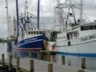 Shrimp Boats