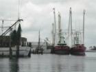 Harbour
