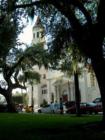 St. Augustine Series. #5