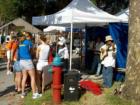 Mount Dora. Art & Crafts Festival Series. #2