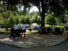 Mount Dora. Art & Crafts Festival Series. #3
