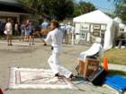 Mount Dora. Art & Crafts Festival Series. #13