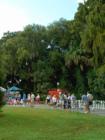 Mount Dora. Art & Crafts Festival Series. #16