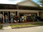 Mount Dora. Art & Crafts Festival Series. #20