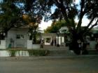 Mount Dora. Art & Crafts Festival Series. #29