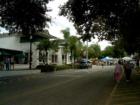 Mount Dora. Art & Crafts Festival Series. #30