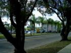 Mount Dora. 