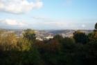 Bryn Mawr views