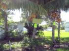 Historic Jungle Trail
      Vero Beach, FL  32963
      A pleasant surprise on the Jungle Trail
      www.VeroPremierProperties.com