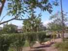 Some of the communities within Silverstone Ranch are Guard Gated Golf Communities featuring Pulte Built Homes.