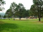 Fox Run Regional Park (Black Forest)- Grassy fields for playing ball and playgrounds for the kids!
