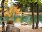 Fox Run Regional Park (Black Forest)- Ponds