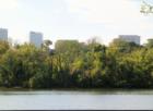 Roslyn skyline above Roosevelt Island and the Potomac River.