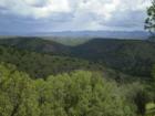 View over Upper Mimbres.