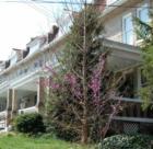 On several blocks just off of 16th Street, you will find large row houses, built between about 1915 and 1925.