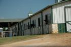 Saddlebrook Estates, Bartonville, Texas, Horses at Equestrian Center