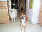 Two Buddies!
      