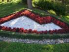 Carmel Mountain Ranch Floral Logo at Points of Entry