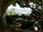 This photo was actually taken through a group of trees on one of the Fairways on the CMR Golf Course. Looks a bit like Tuscany, Italy doesn't it?