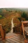 Loess Hills State Forest Preparation Canyon Unit.  Mann Hollow Overlook.