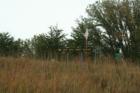 Loess Hills State Forest Preparation Canyon Unit.