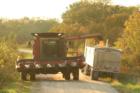 Harvest time in the Loess Hills