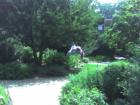 Atlanta Botanical Gardens at Piedmont Park