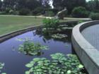 Atlanta Botanical Gardens at Piedmont Park