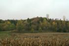 Little Sioux Unit Loess Hills State Forest