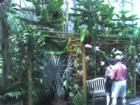 Atlanta Botanical Gardens at Piedmont Park