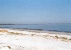 Coffin's Beach