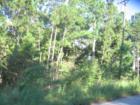 Typical lot in Tahitian Village in first couple of units.  Tree covered.  Many are hillside.  Some do not have water and sewer services to them.