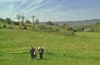 Fishers Hill-
      
      Photo from www.simply-shenandoah.com