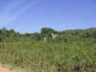 Some of the developement does not sit in the rolling hills and pines and is more open and level.  
