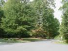 Snow Hill Street scene, quiet community, right outside the hustle and bustle of Warrenton