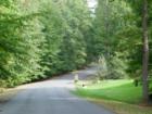 Snow Hill...beautifully landscaped, mature trees
