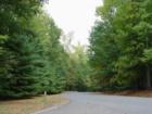 Snow Hill, many of the lots are private, due to the mature trees, streets are well maintained