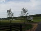 Soccer fields, sponsored by BB&T...some of the most beautiful fields in Virginia.