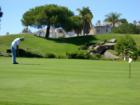 The practice Putting Green at the Club is always busy. 