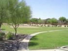 Pic of the park