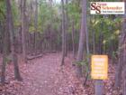 City View park, Virginia Beach
      For walking only, no bikes!
      www.757realproperty.com