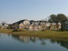The Hampshires of Chesapeake