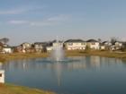 The Hampshires of Chesapeake