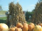 Autumn Bounty in Berryville, Virginia, Clarke County.  